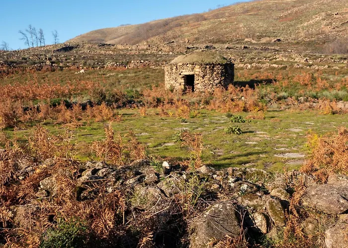 Campusphi Hotel Acebo