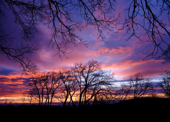 Campusphi Hotel Acebo